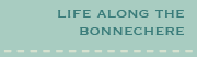 Life Along the Bonnechere