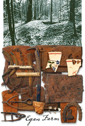 Photograph of Egan farm and artifacts.