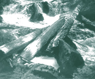 Photographie : radeau de bois